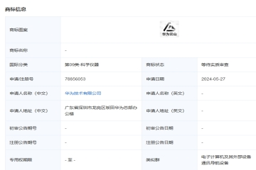 華為技術(shù)有限公司申請注冊“華為云山”圖形商標(biāo)