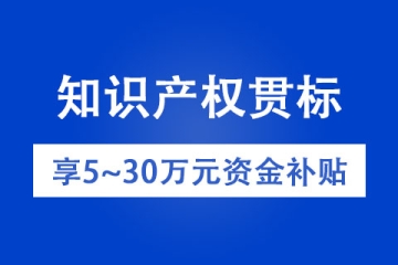 衛(wèi)輝知識(shí)產(chǎn)權(quán)貫標(biāo)申報(bào)條件以及補(bǔ)貼政策