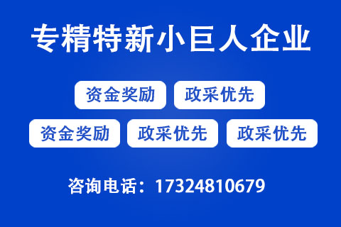 專精特新小巨人企業(yè)申報(bào)方式