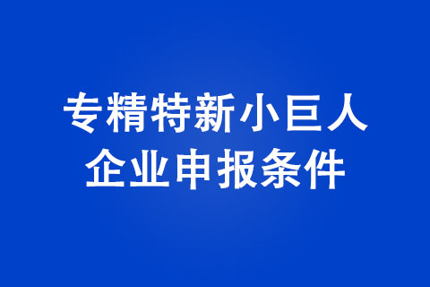 2022年鄭州市專精特新小巨人企業(yè)申報條件