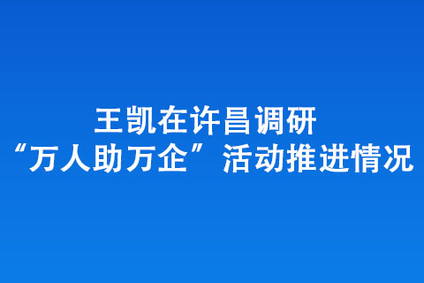 王凱在許昌調(diào)研“萬人助萬企”活動(dòng)推進(jìn)情況