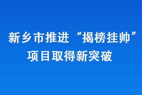 新鄉(xiāng)市推進“揭榜掛帥”項目取得新突破